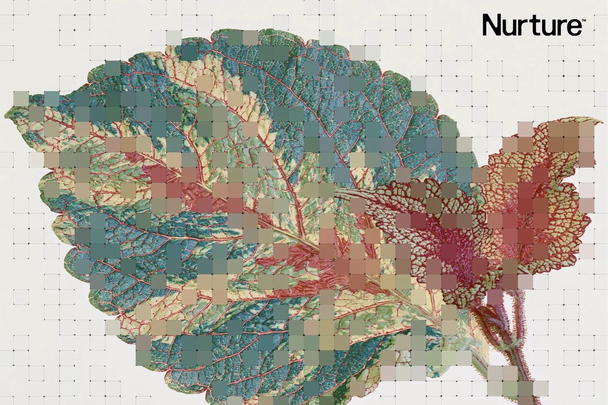 The Brand Identity feature on Under After's Nurture identity, a hand-drawn leaf overlaid with a generative pixel grid