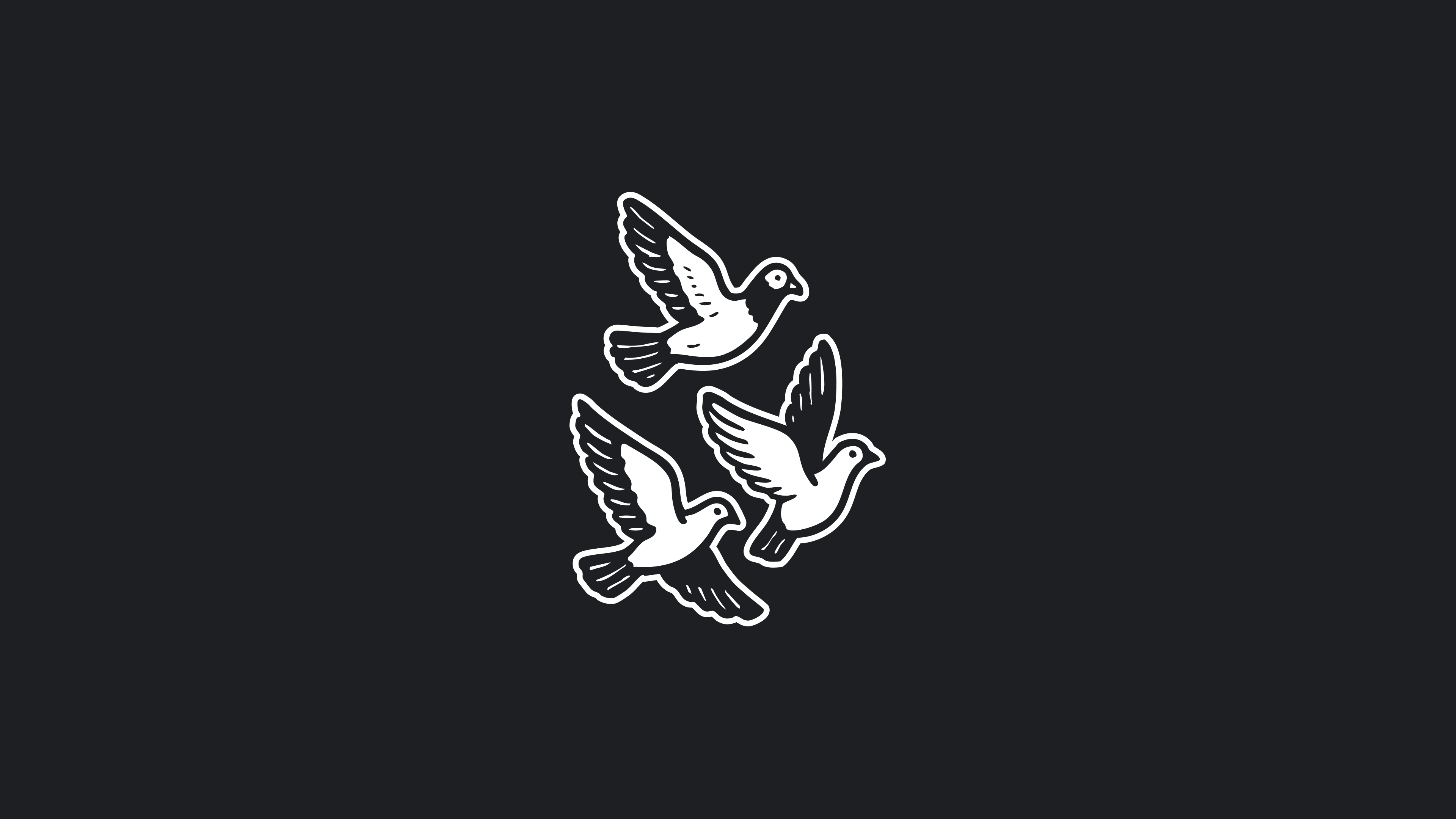 Asylum brand bird illustration representing freedom and creative flight