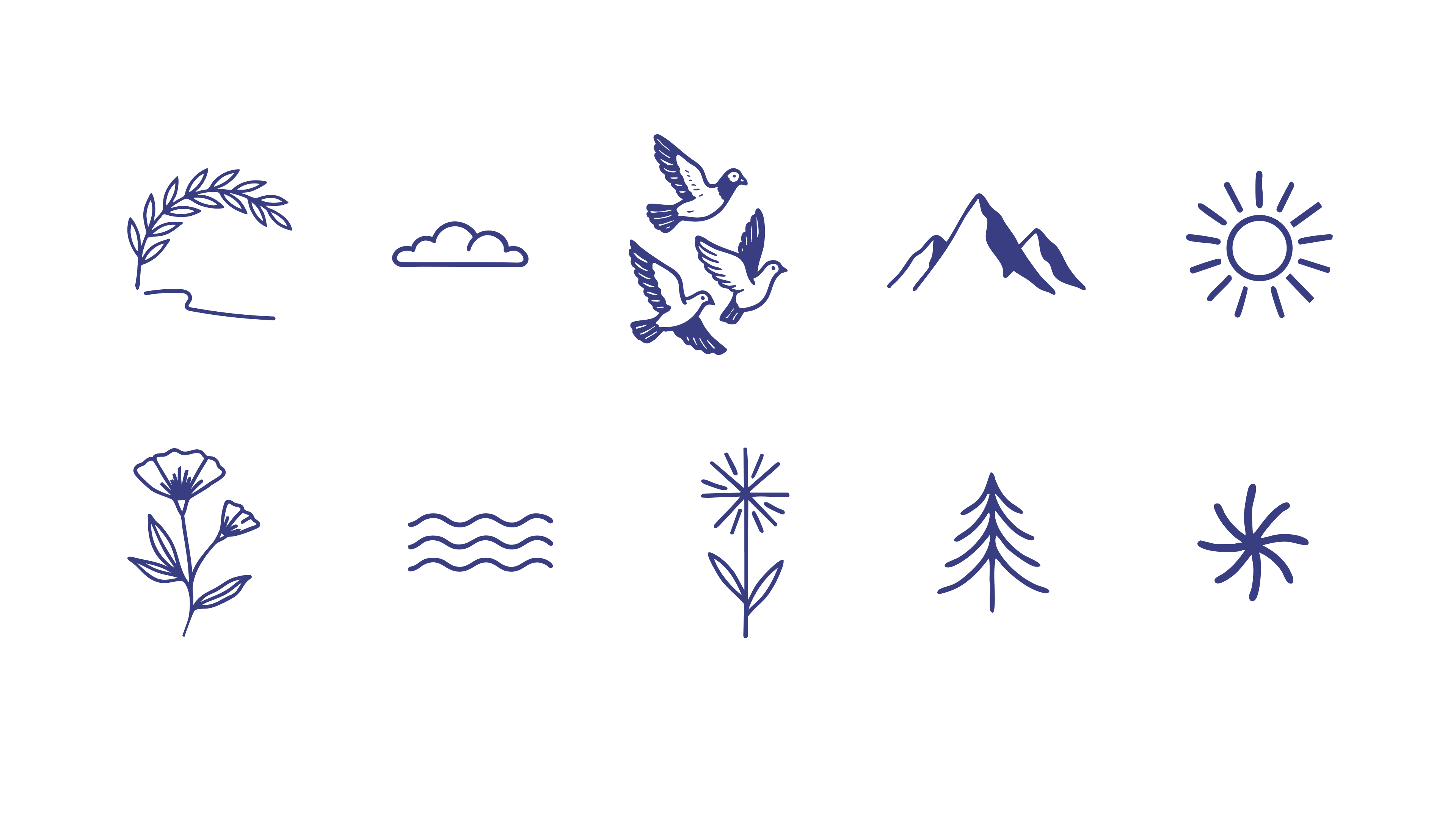 Asylum brand illustration system featuring artistic visual elements