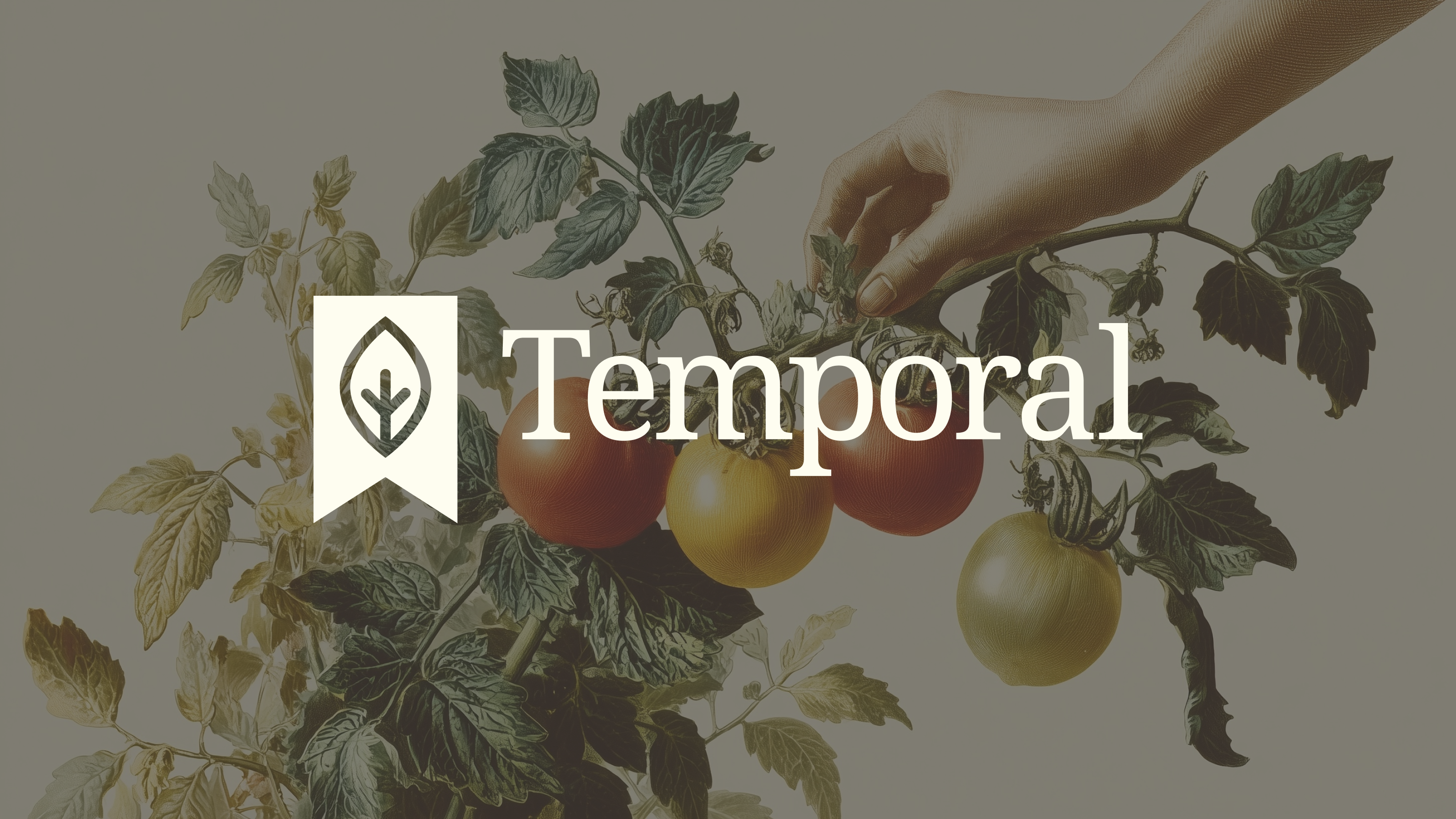 Temporal